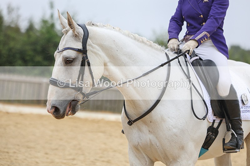 3E7A5350 - Class 2: Intro 4 2024 section B