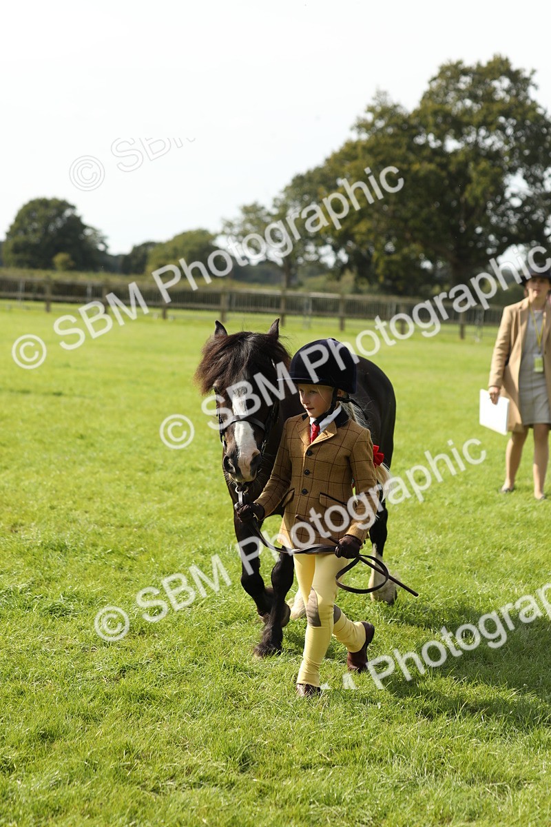 SBM_67817 - S39 - Junior Handler 8  Years & Under