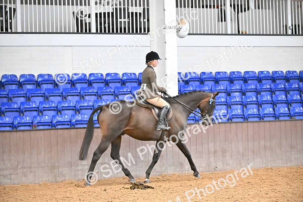 SBM_002333 - Class 22 - BSHA Ridden Hack & Riding Horse