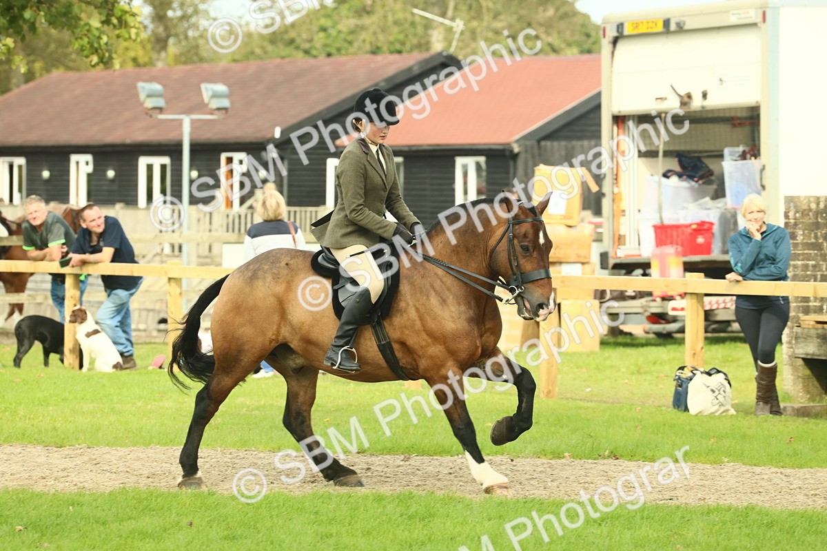 SBM_69341 - S58 - Mini Show Cob Ridden