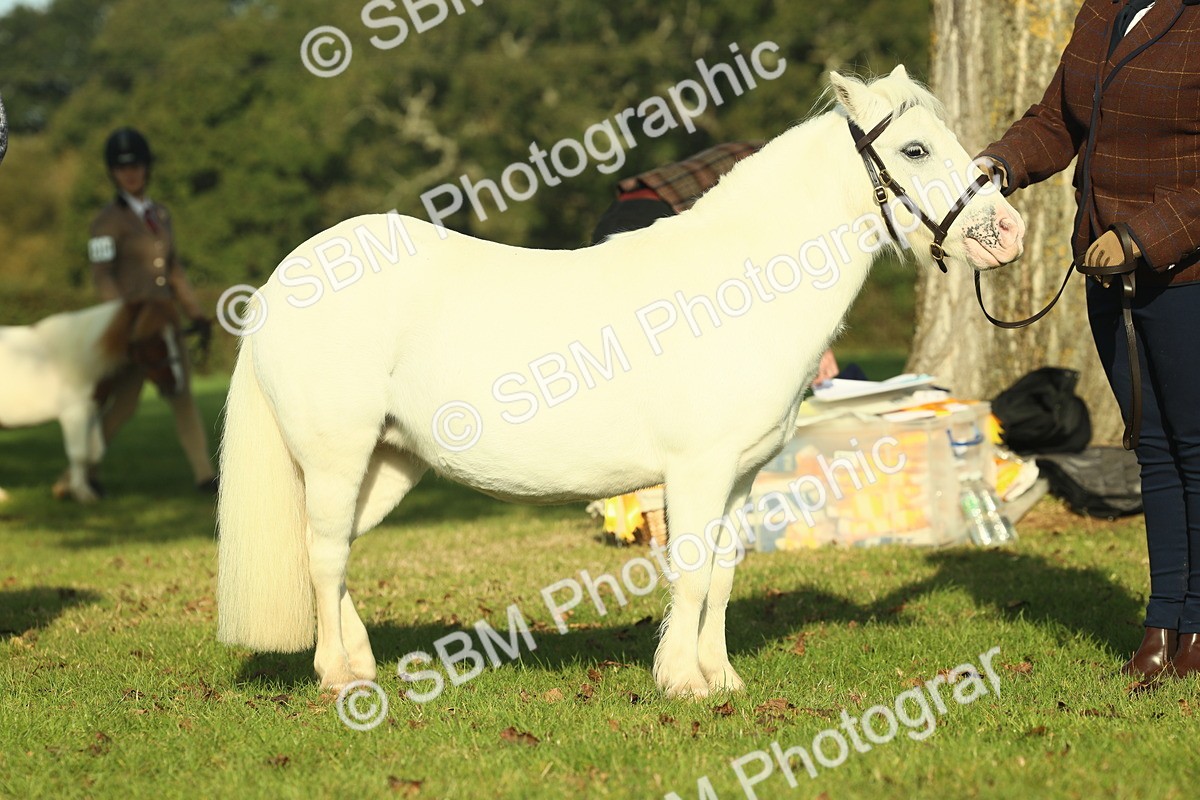 SBM_58582 - S37 - Starters In Hand Showing