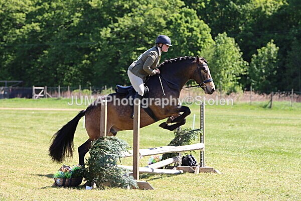 IMG_4034 - Working Hunter