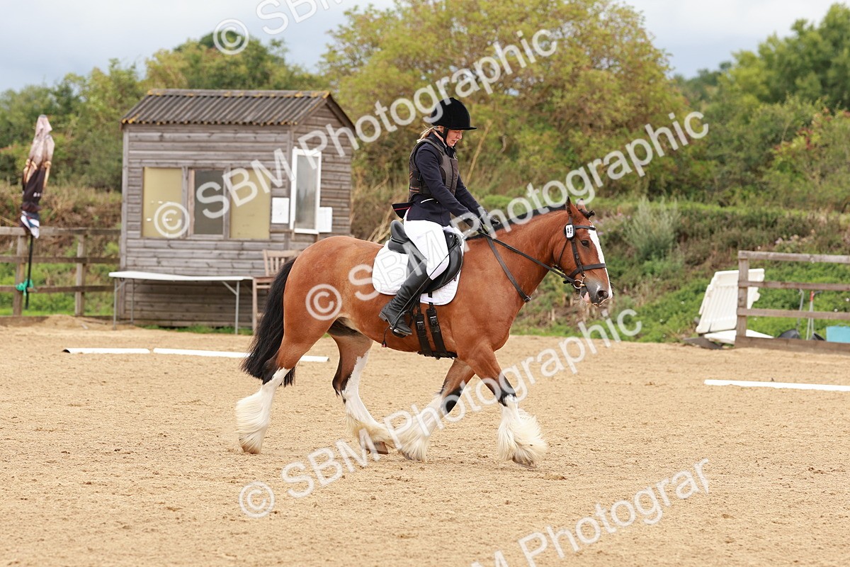 SBM_002231 - Prelim 1