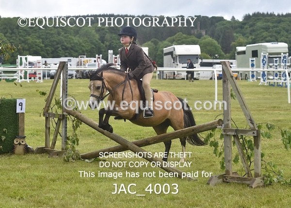 JAC_4003 - 40CM WORKING HUNTER