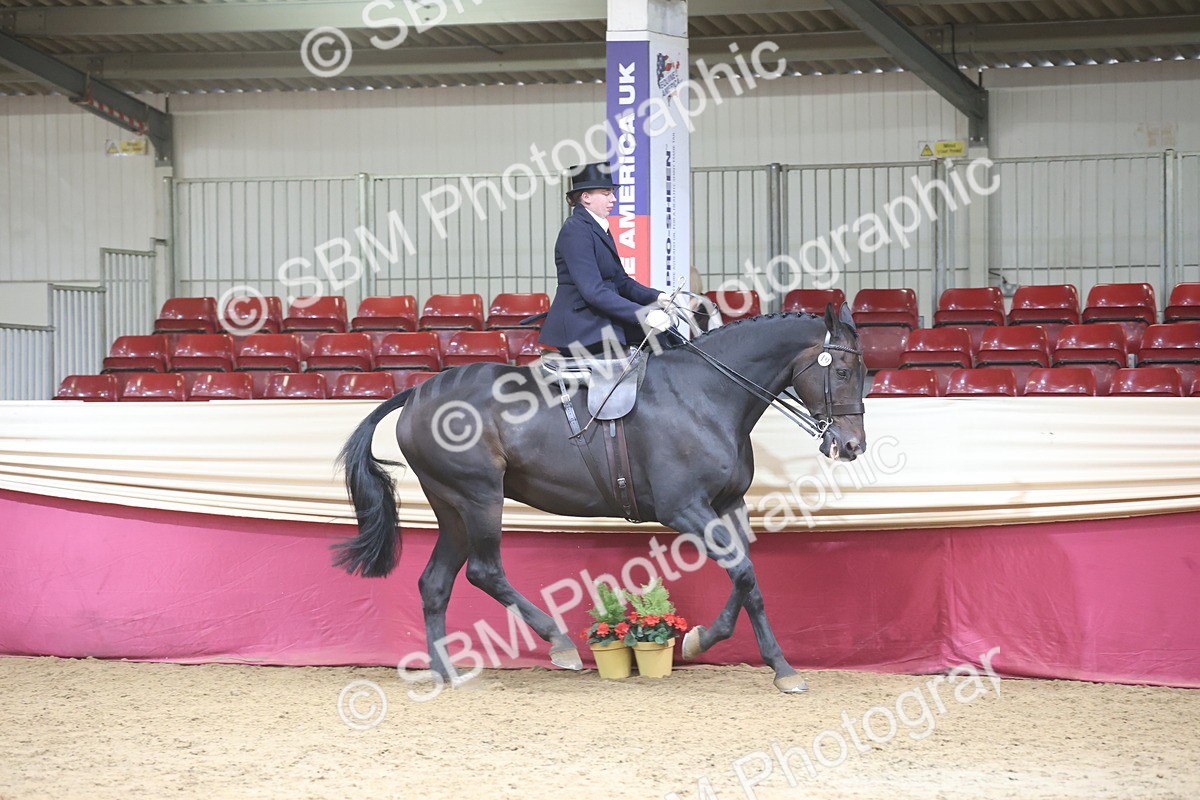 SBM_23730 - class 906 - Supreme Final - Ridden Pre Vet