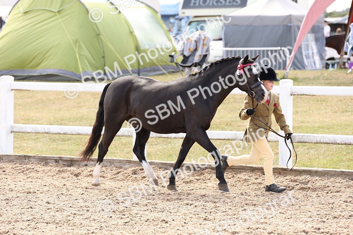 SBM_15049 - Class 209 - IH Veteran Pony