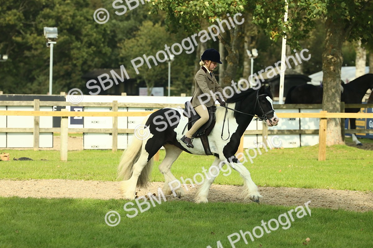 SBM_68898 - S58 - Mini Show Cob Ridden
