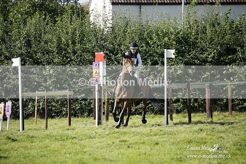  WWHT 031021 1460 - Open Novice (0.80m) 03/10/21