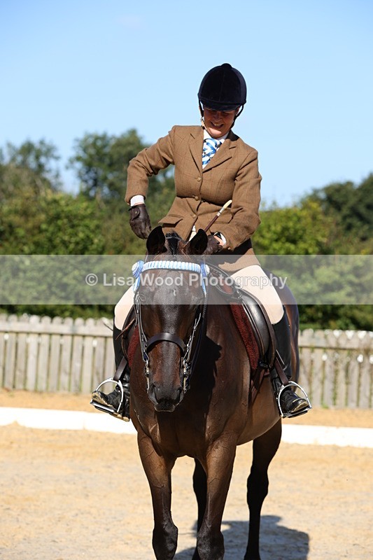 1X9A7631 - Class 7: Novice Ridden Hunter/Hack/Cob/Riding Horse