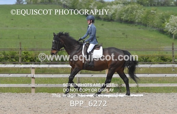 BPP_6272 - 39 H BROOKS