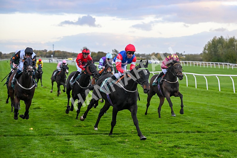 281025-Race 7-Crocodile Power-2121 - Race 7