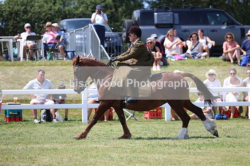 3E7A9739 - Class 13: Side Saddle