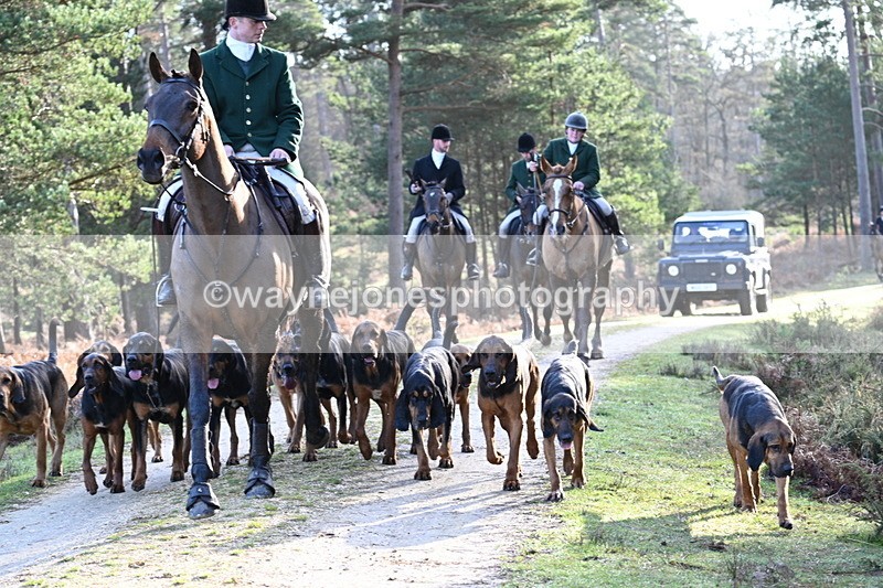 WJ7_7715 - Line 3 (no line 4 or 5)