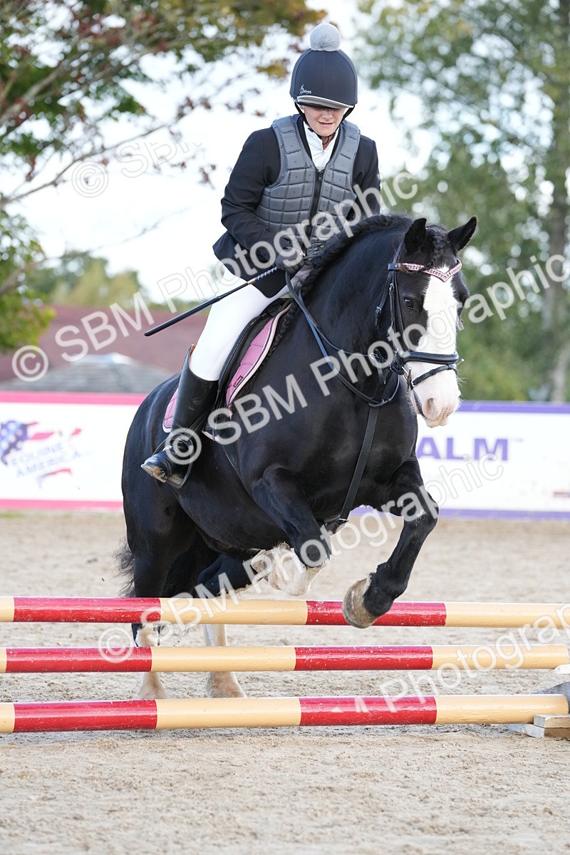 SBM_17885 - J58 - Clear Round 50cm