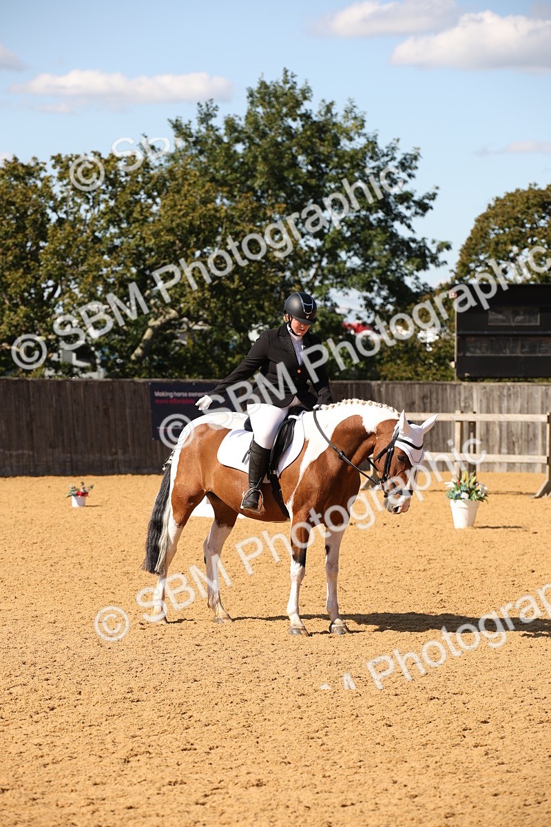 SBM_24209 - D5 - Small Tour Championship - Intro C