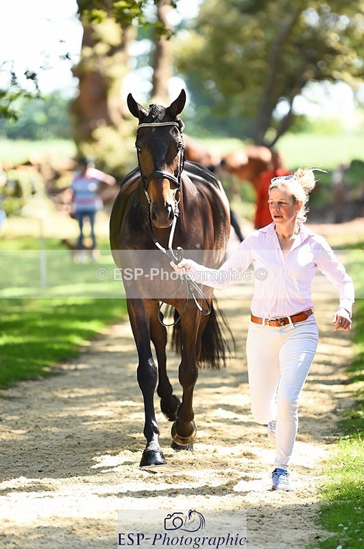 230524-150454-00053 - 355-JASON_KING-Izzy_Taylor-WEDTrotUp+DR