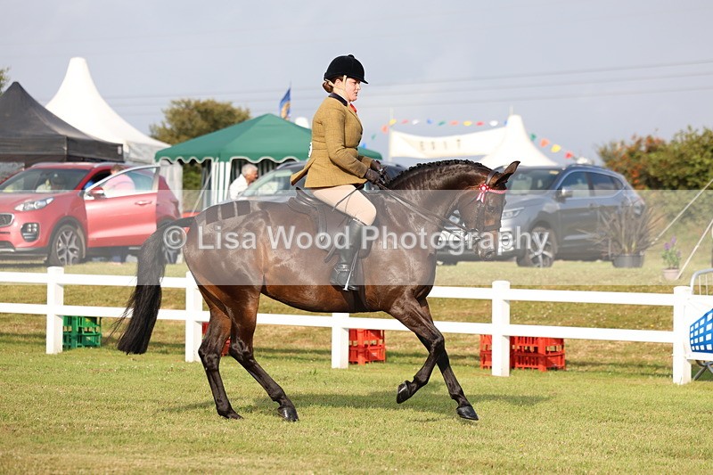3E7A7693 - Class 1: Rising Star Small Hack/Riding Horses