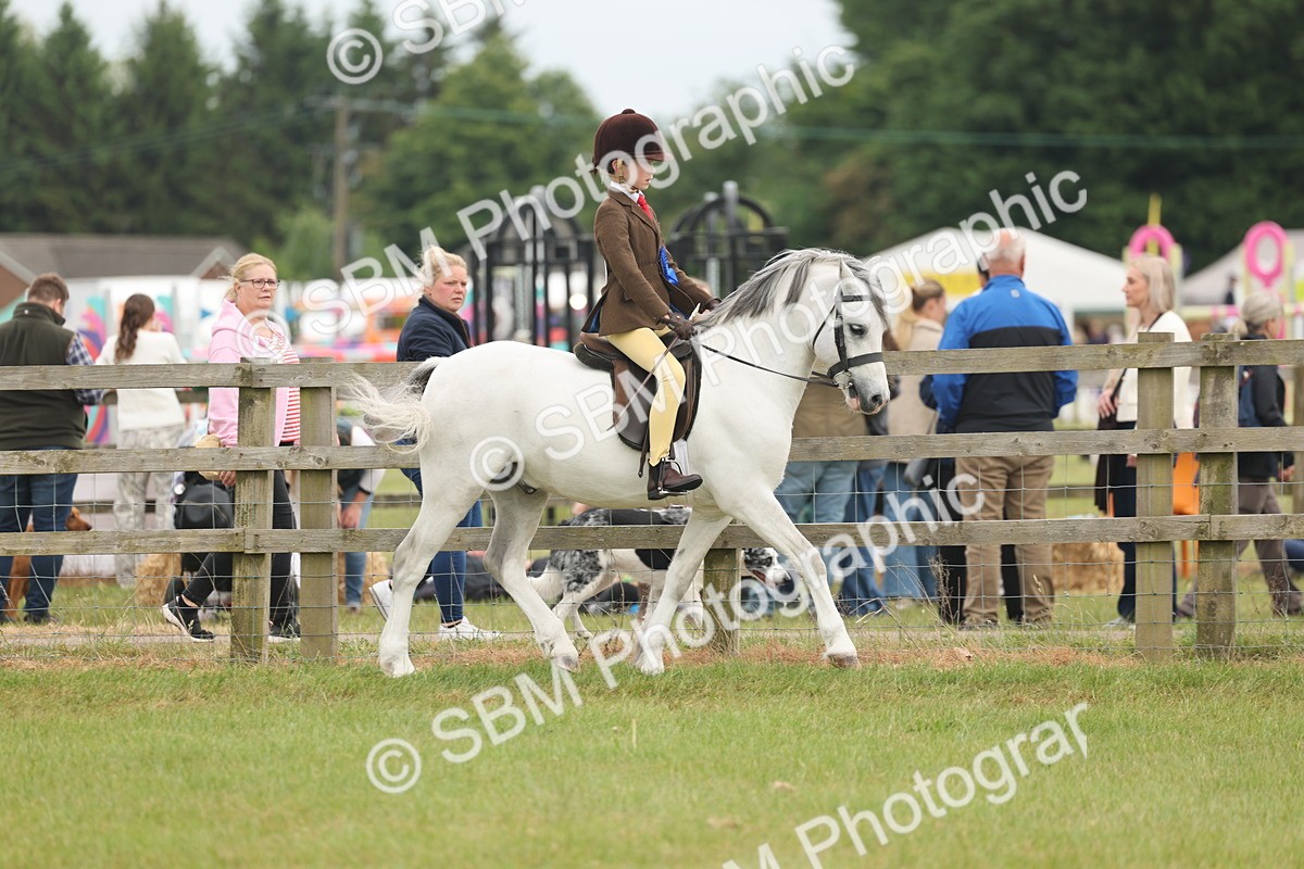 SBM_06928 - Class 74-75 - M&M Lead Rein and First Ridden Pony