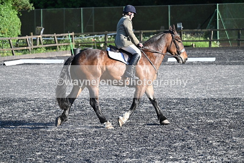 WJ7_4652 - Class 2 Prelim 1