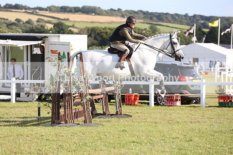 JPP_3354 - Class 22: Working Hunter 90cm