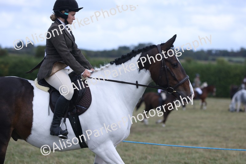 20250831-4199 - Class 20 - Ridden Coloured