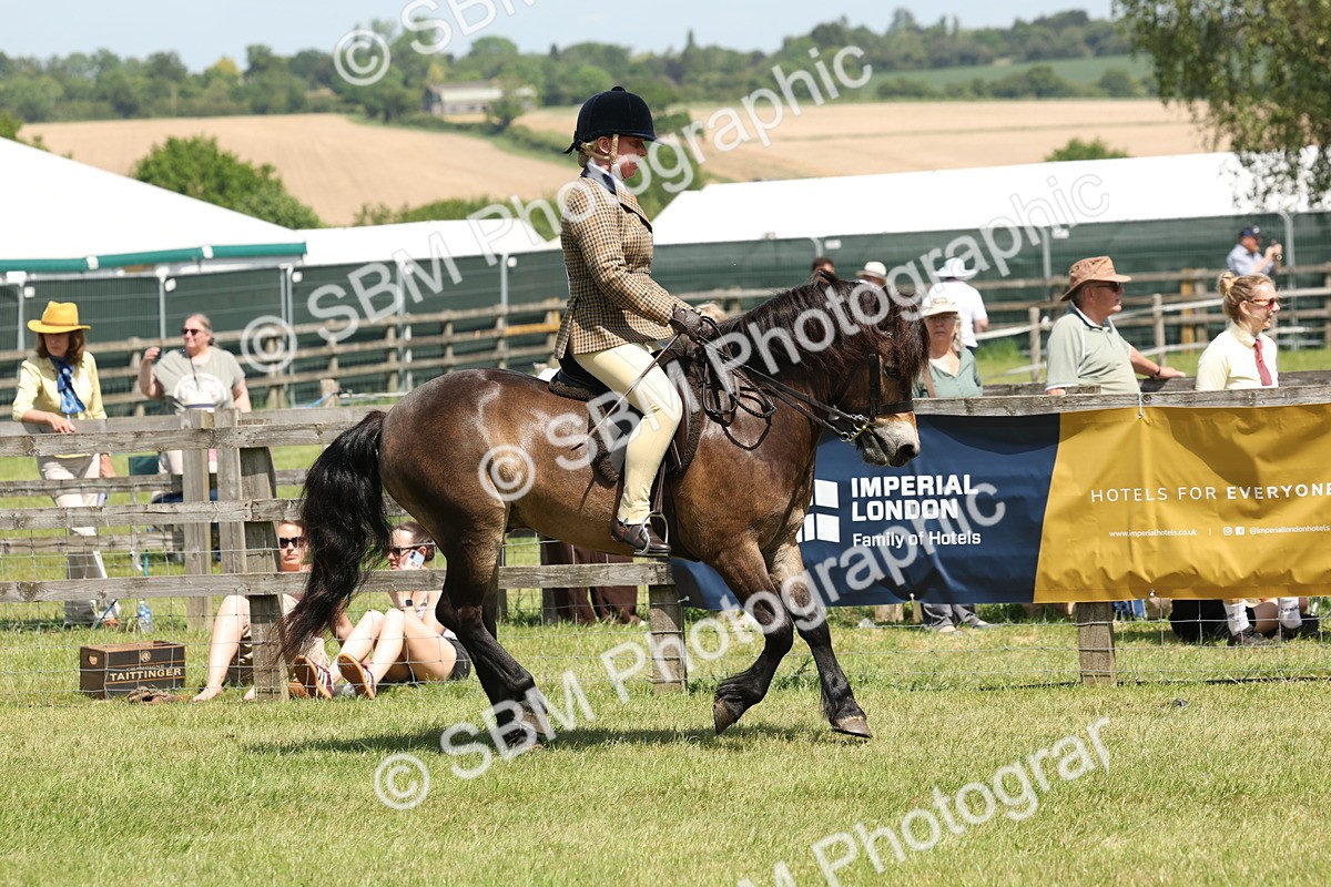 SBM_06821 - Class 26-30 - Mountain and Moorland Ridden