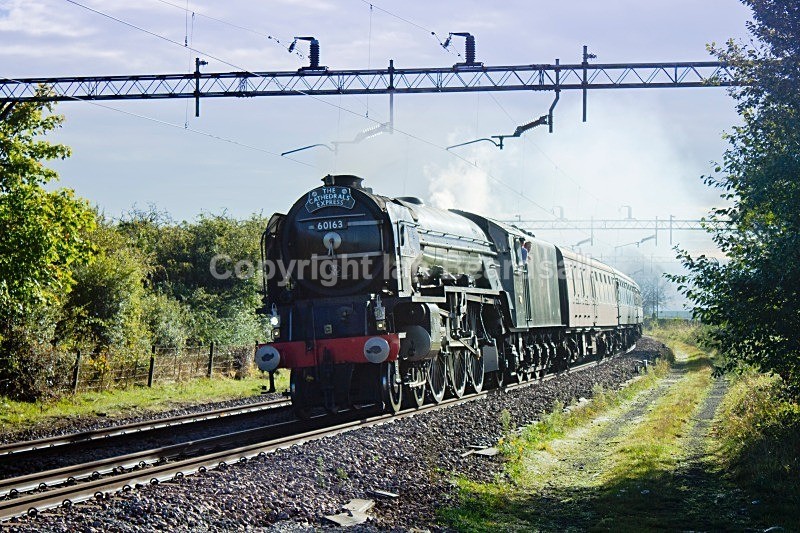 The Cathedrals Express - Essex