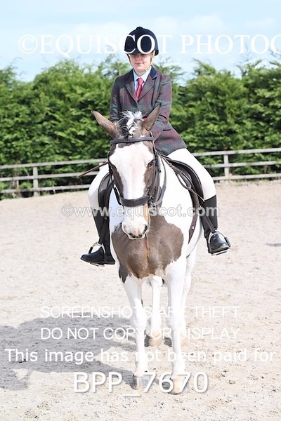 BPP_7670 - RING 1  (RIDDEN HORSES / IN HAND / VETERAN ETC)