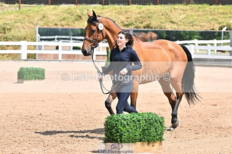 240718A-105316-01785 - Trot Up 1pm to 2pm