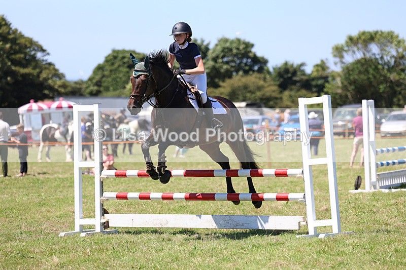 3E7A5529 - Class 9: Senior British Novice/90cm open