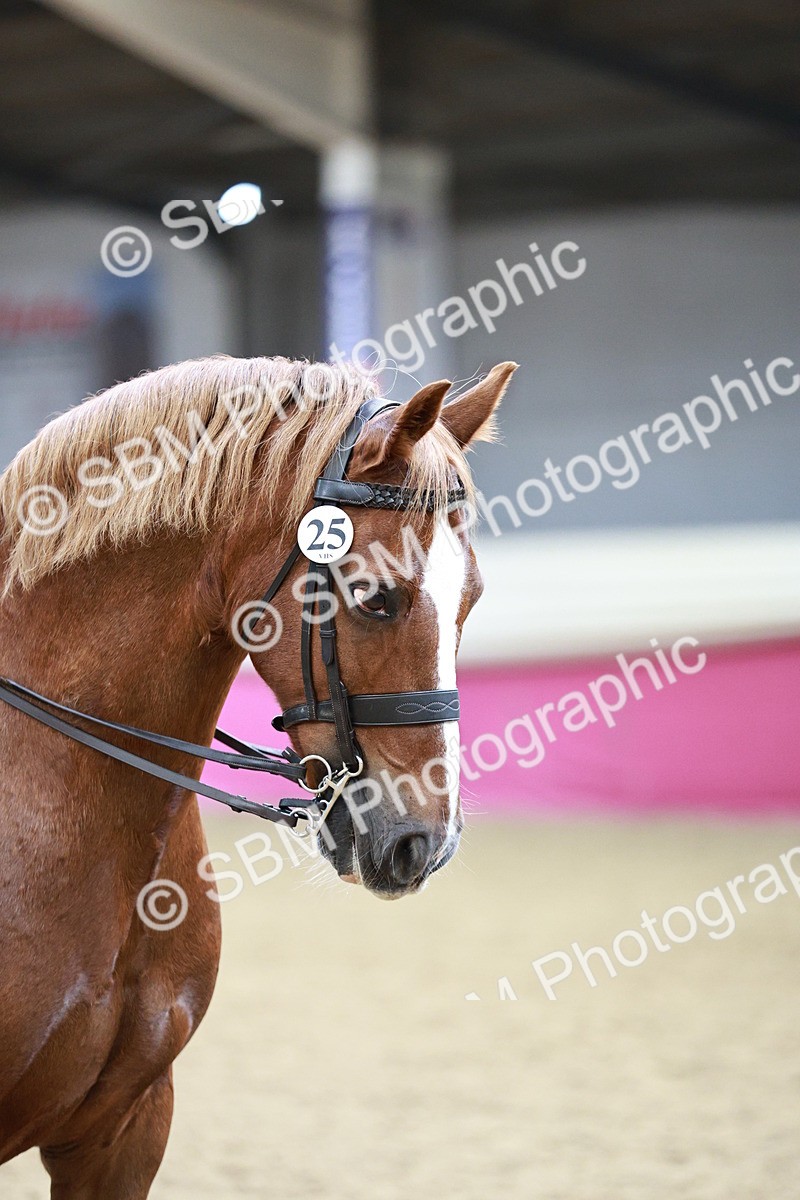 SBM_02233 - Class 4A - Area Ridden Diamond