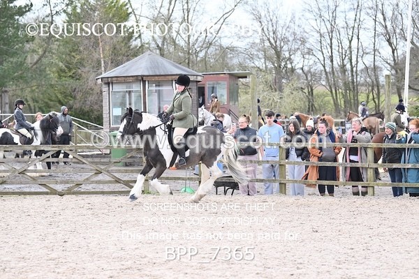 BPP_7365 - RING 1  (RIDDEN HORSES / IN HAND / VETERAN ETC)