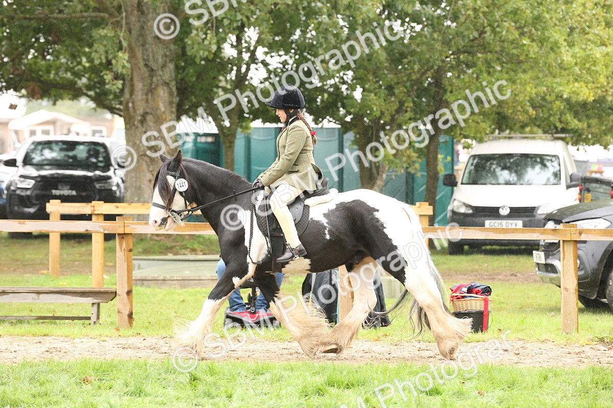 SBM_72761 - S70 - Traditional Cob Ridden