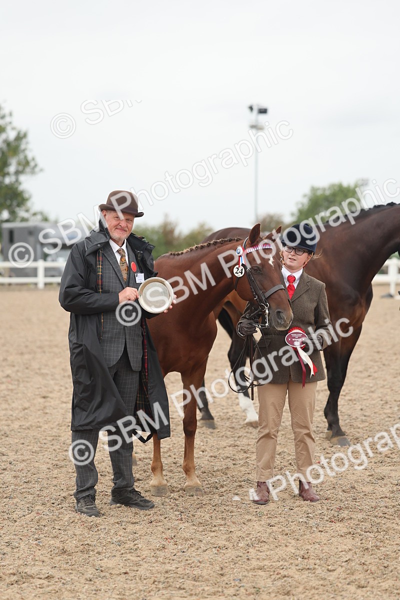 SBM_19883 - Class 318 - IH Part Bred Horse-Pony
