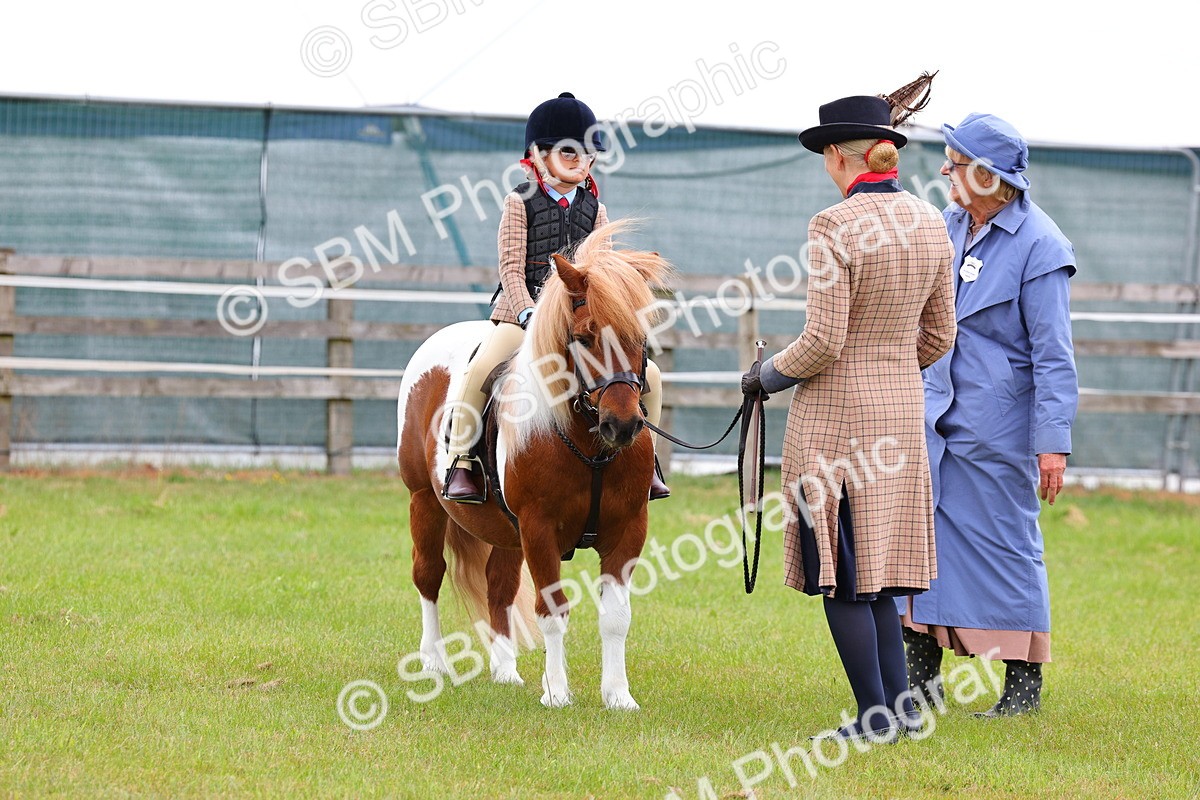 SBM_08220 - Class 42-43 - LIHS BSPS Heritage Working Sports Pony