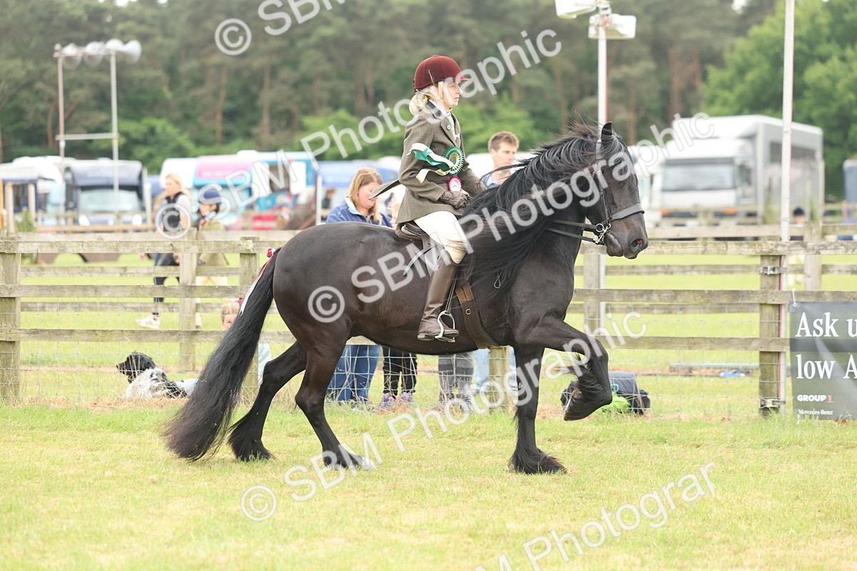 SBM_09070 - Class 78-80 - Ridden M&M Non Welsh Ponies