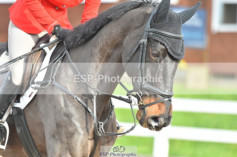 231111A-130328-02025 - Cls 12 Newcomers & 1.10m Open