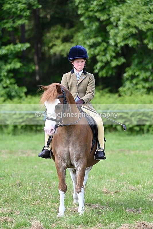 WJ7_0803 - Class 8 First Rally Pony