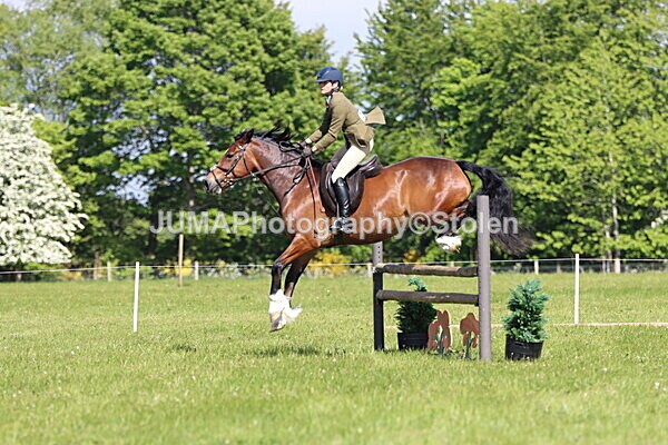 IMG_4707 - Working Hunter