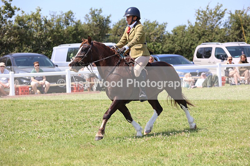 JPP_3047 - Class 22: Working Hunter 70cm
