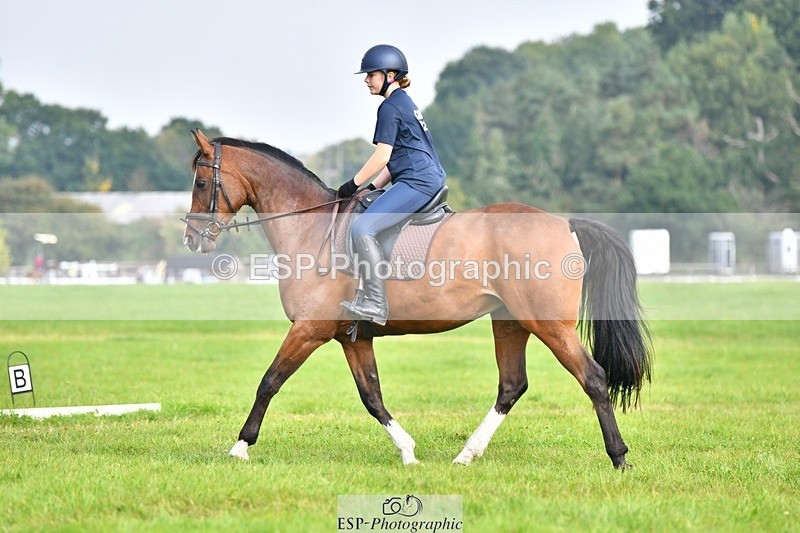 230817-093118-02574 - Abbie's 1st Group - Dressage