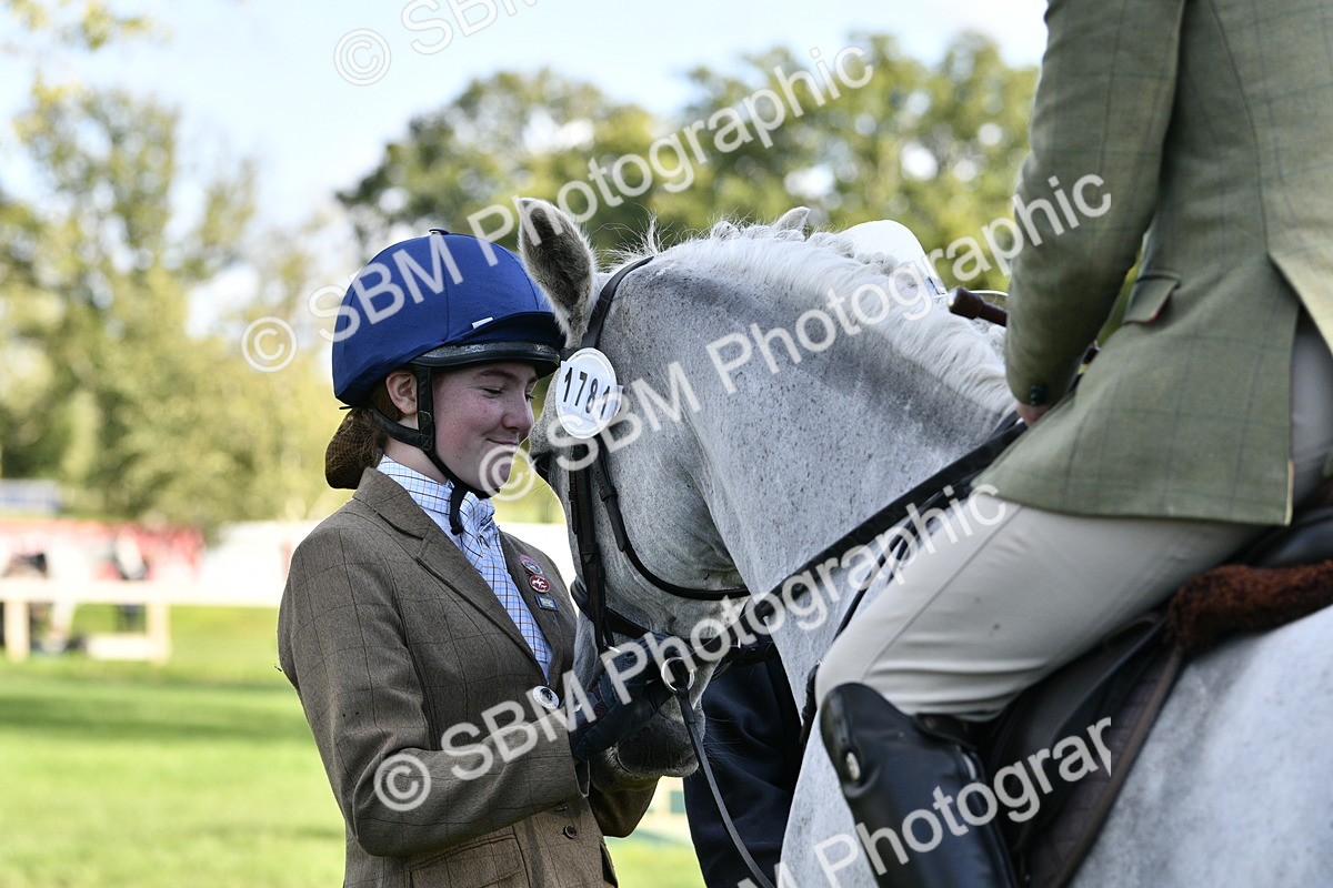 SBM_52219 - S35 - Working Hunter & Working Show Horse