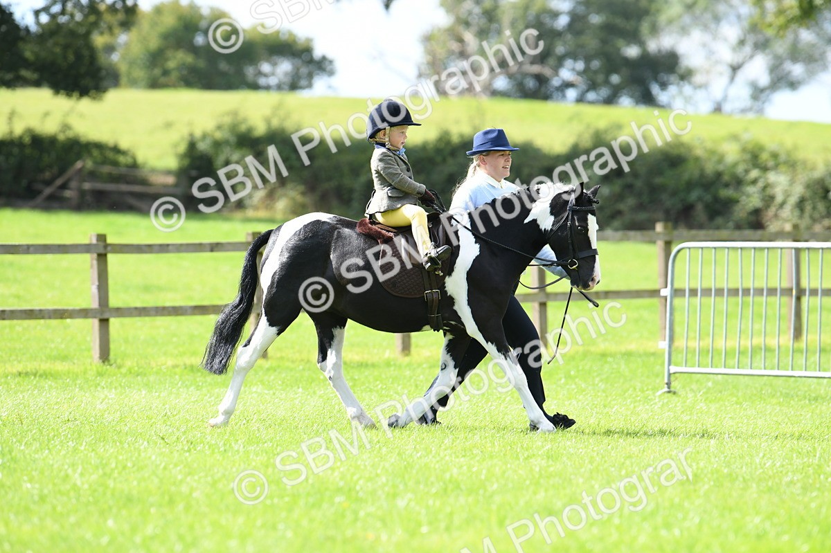SBM_41162 - S19 - Lead Rein Show & Show Hunter Pony