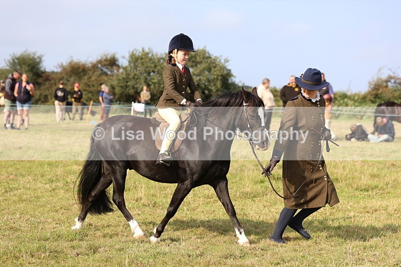 3E7A3722 - Class 2: Lead rein