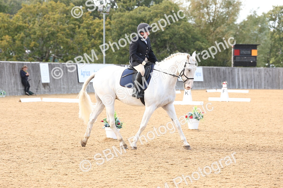 SBM_28281 - D20 - Grand Tour Championship Elementary 3