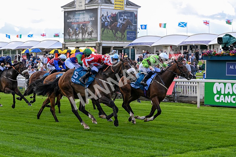 120626-Race 1-Our Havana-6621 - Race 1 13.50pm Andy Thornton Hospitality Furniture Apprentice Handicap