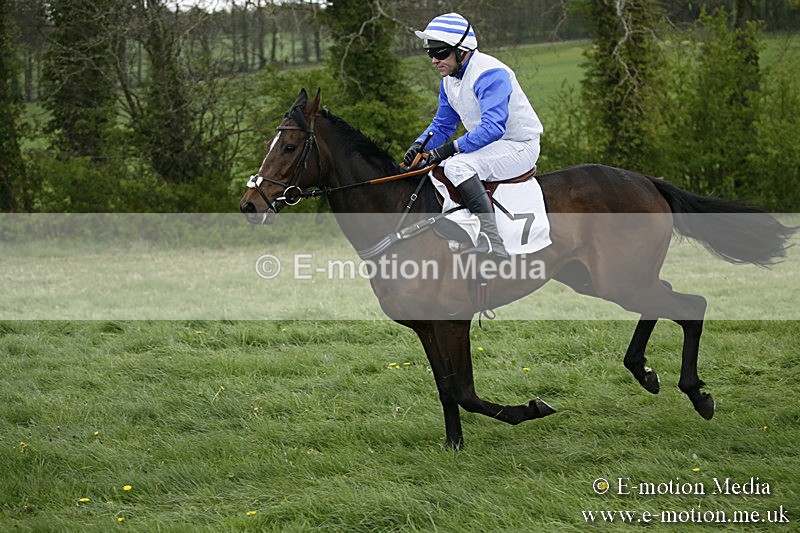 PtP 170417 525 - Old Berks Point-to-Point Lockinge 17/04/17