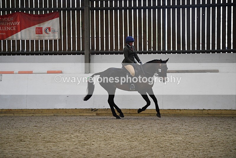 WJ5_8029 - Class 13 Ridden Part Breed