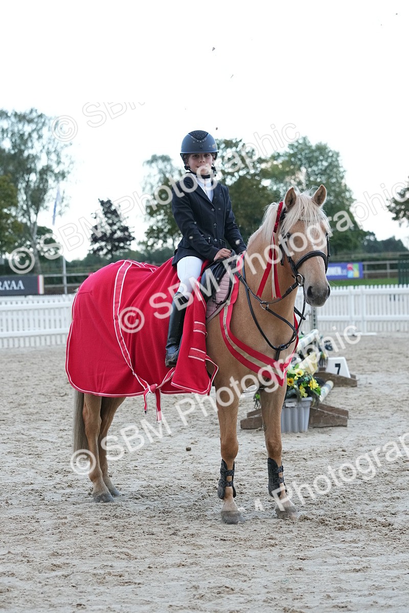 SBM_54242 - Supreme Championship 60cm 65cm