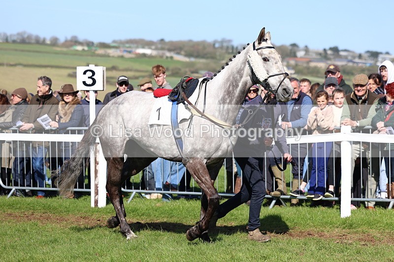 3E7A5608 - Race 6: Maiden (NWFAA)